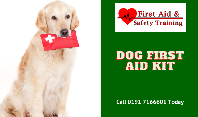 Dog First Aid Kit | First Aid Training | Newcastle