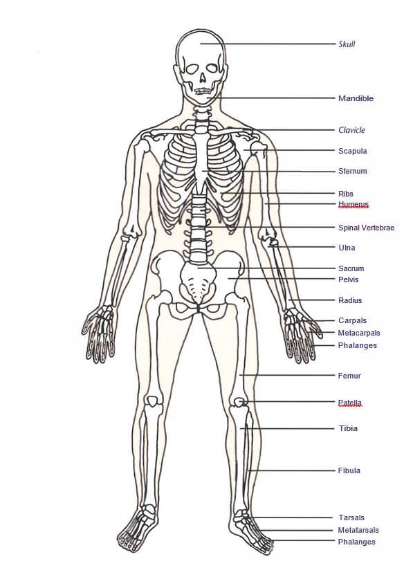 Dealing with Breaks and Fractures | First Aid Training