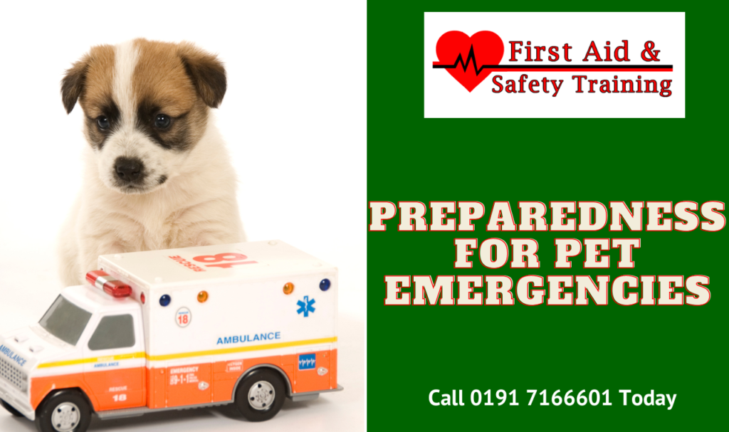 Preparedness for Pet Emergencies