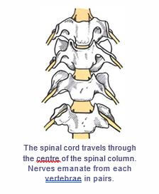 Types of Fracture 13