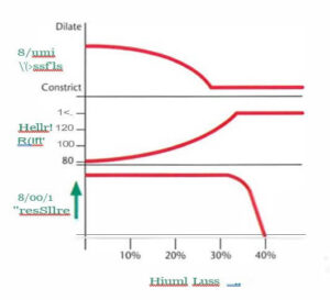blood loss chart