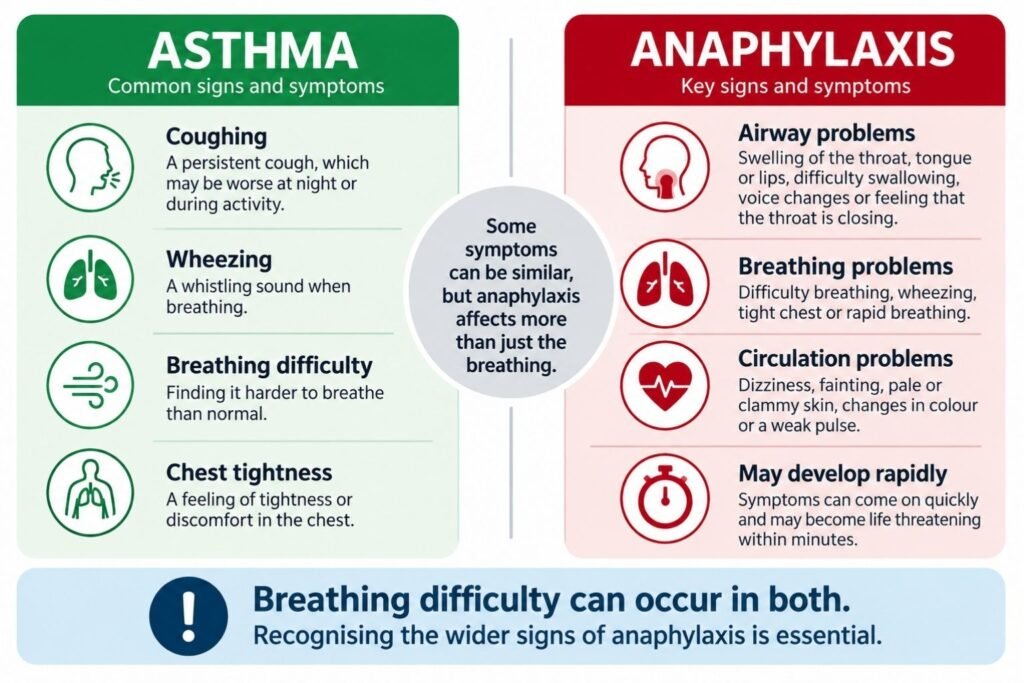 Comparison infographic: left column shows asthma symptoms (coughing, wheezing, breathing difficulty, chest tightness) with green icons; right column shows anaphylaxis symptoms (airway problems, breathing problems, circulation problems, may develop rapidly) with red icons; center circle notes that some symptoms are similar but anaphylaxis affects more than breathing; bottom banner states breathing difficulty can occur in both.